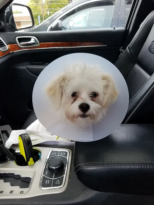 Sanatoga Animal Hospital, LLC Picture 1