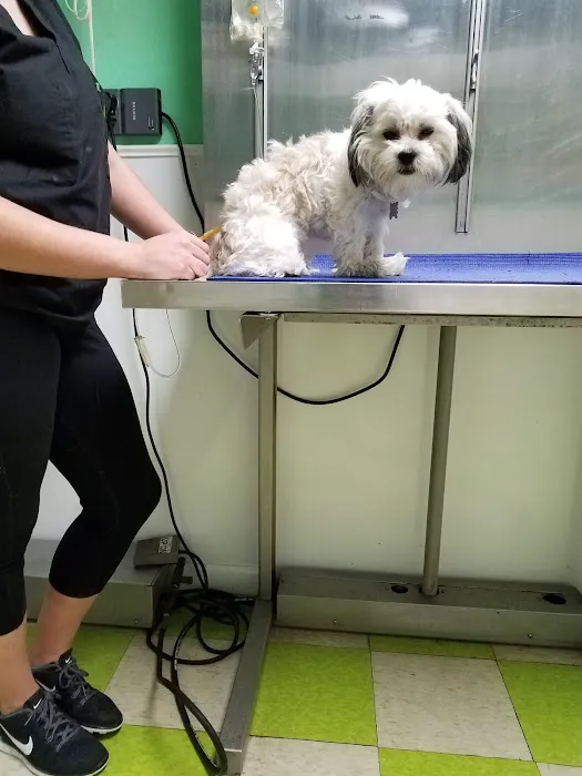 Pottsgrove Animal Hospital Picture 2