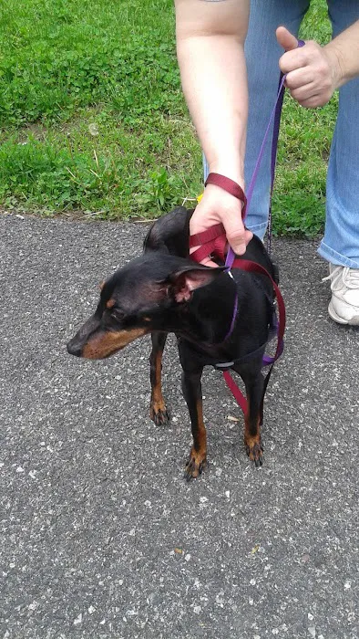 Pottsgrove Animal Hospital Picture 5