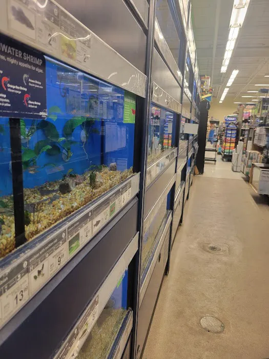 Petco Picture 3