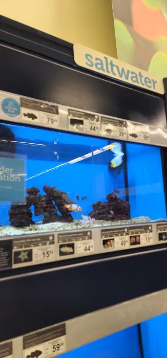 Petco Picture 10