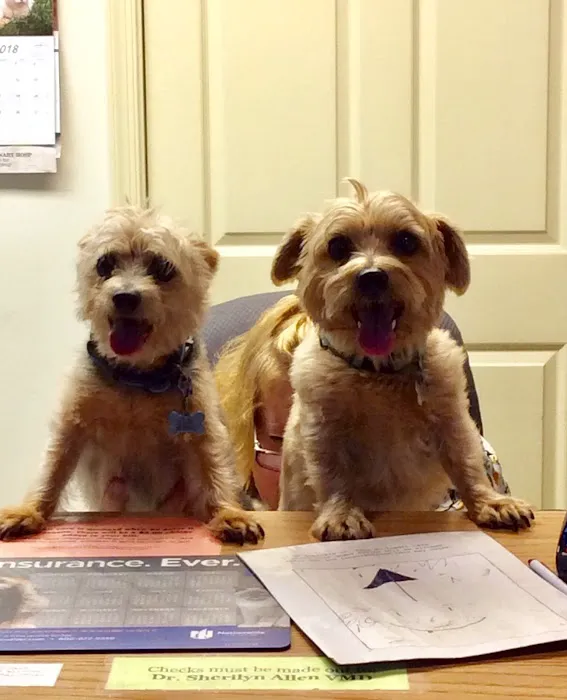 Ironstone Veterinary Hospital Picture 6