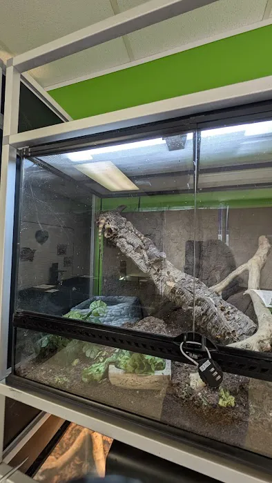 HERPS Exotic Reptile and Pet Shop Picture 4
