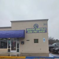 HERPS Exotic Reptile and Pet Shop ico
