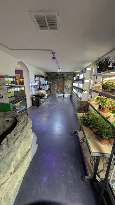 HERPS Exotic Reptile and Pet Shop Picture 2