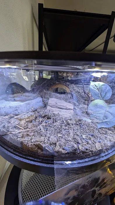 HERPS Exotic Reptile and Pet Shop Picture 7
