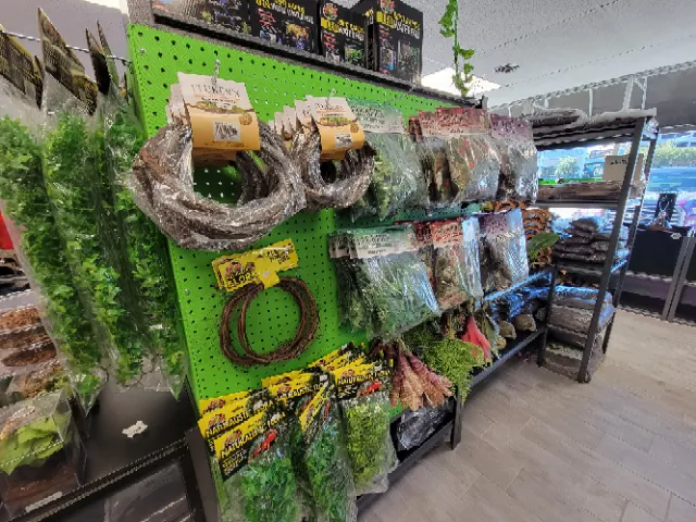HERPS Exotic Reptile and Pet Shop Picture 9