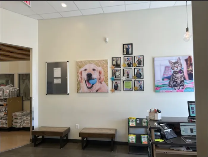 Vetco Total Care Animal Hospital Picture 3