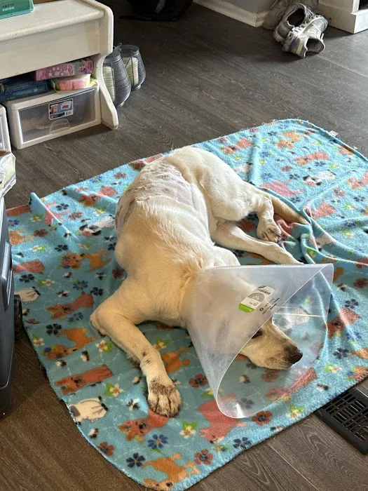 Vetco Total Care Animal Hospital Picture 6