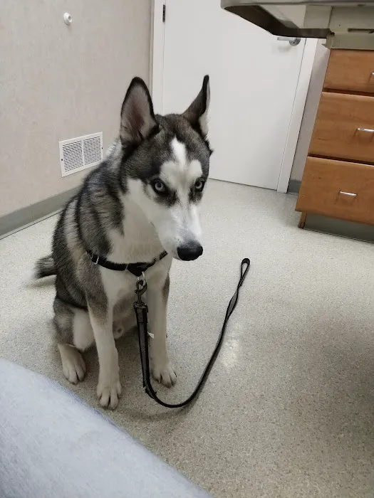 Animal Medical Center Picture 3
