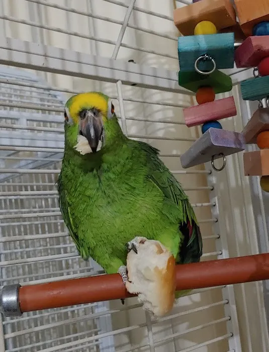 Animal Medical Center Picture 4