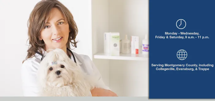 Perkiomen Valley Veterinary Clinic Picture 3