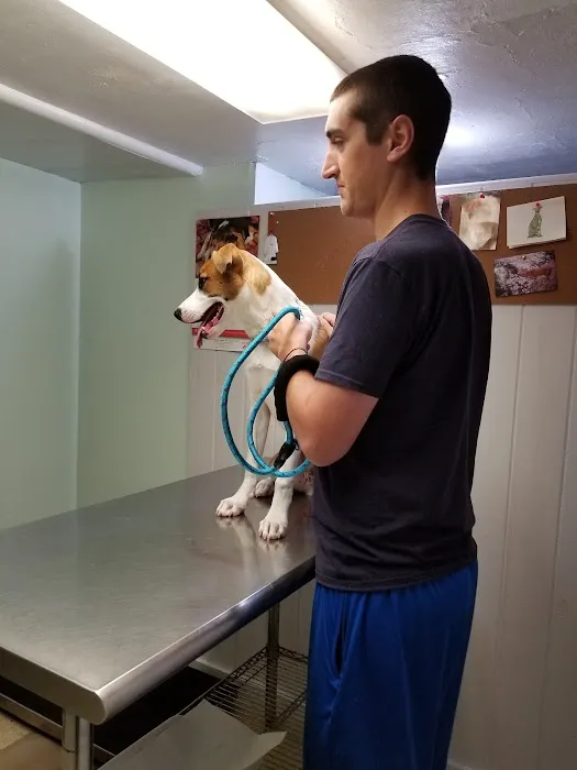 Perkiomen Valley Veterinary Clinic Picture 9