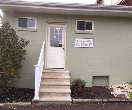 Collegeville Cat Clinic