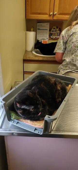 Collegeville Cat Clinic Picture 5