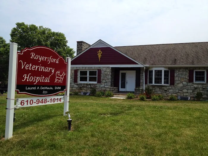 Royersford Veterinary Hospital Picture 3