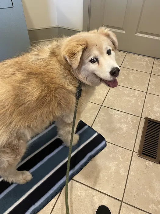Creature Comforts Veterinary Hospital Picture 8