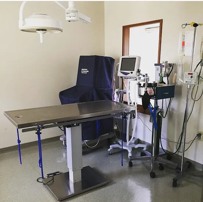 Creature Comforts Veterinary Hospital Picture 9