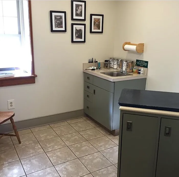 Creature Comforts Veterinary Hospital Picture 10