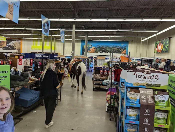 Petco Picture 2