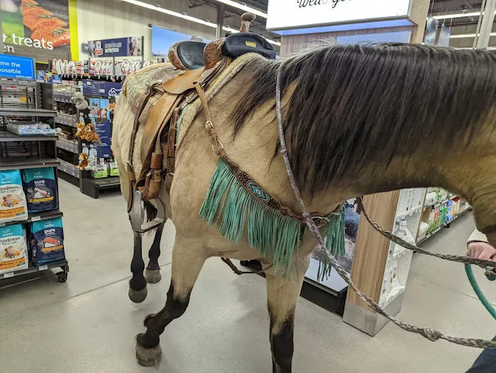 Petco Picture 6