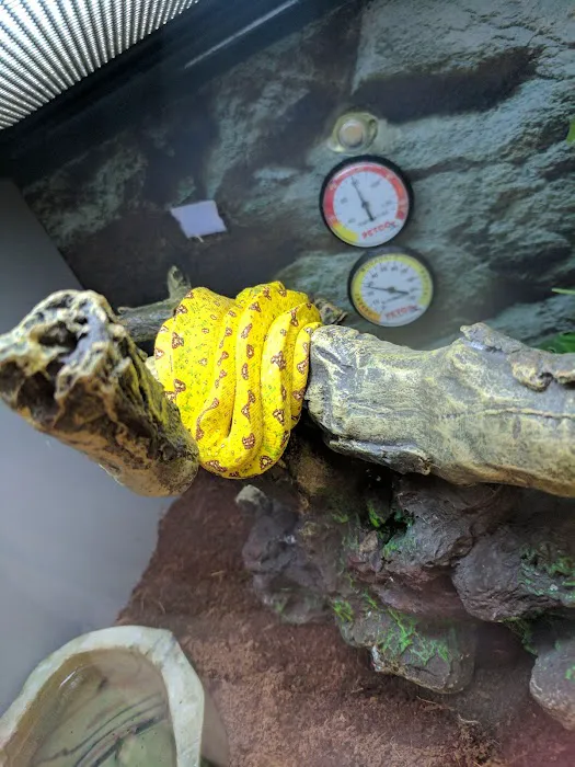 Petco Picture 8