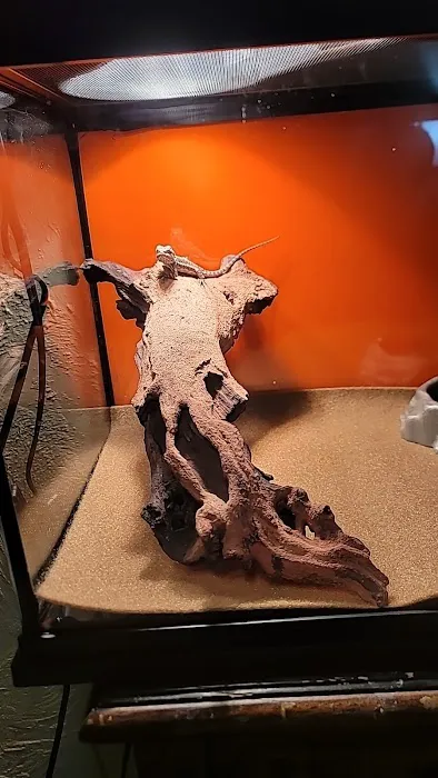 Petco Picture 9
