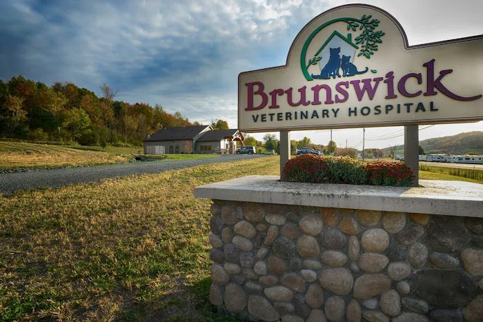 Brunswick Veterinary Hospital Picture 5