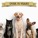 Niskayuna Animal Hospital