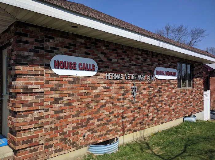 Hernas Veterinary Clinic Picture 1