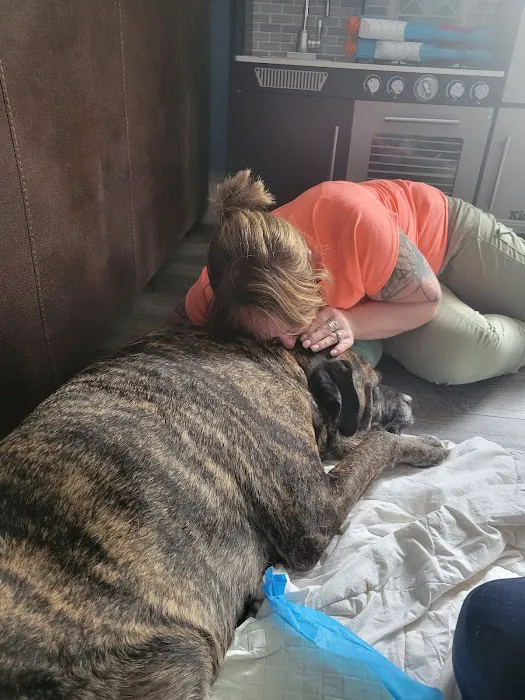 Hernas Veterinary Clinic Picture 7