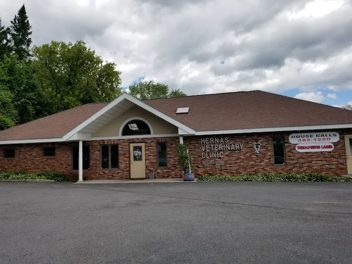 Hernas Veterinary Clinic Picture 6