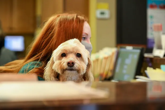 River Road Animal Hospital Picture 4