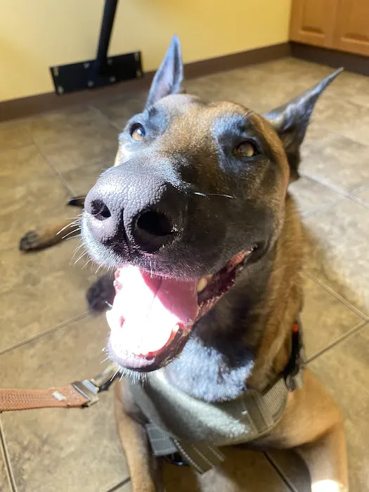 River Road Animal Hospital Picture 8