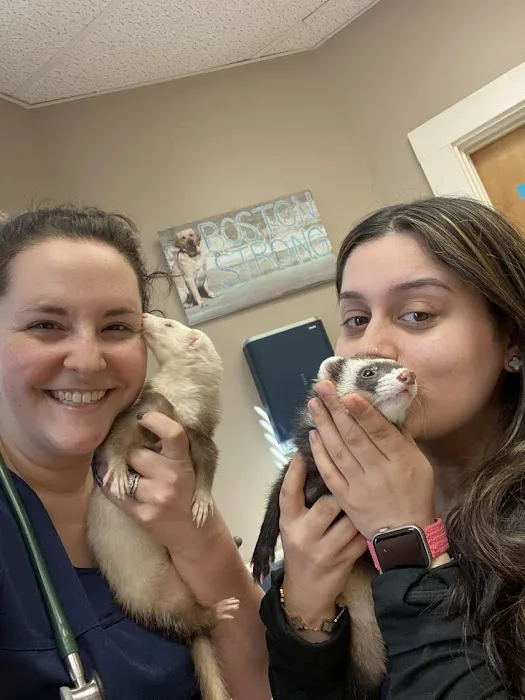 Have A Heart Animal Hospital, A Thrive Pet Healthcare Partner Picture 5