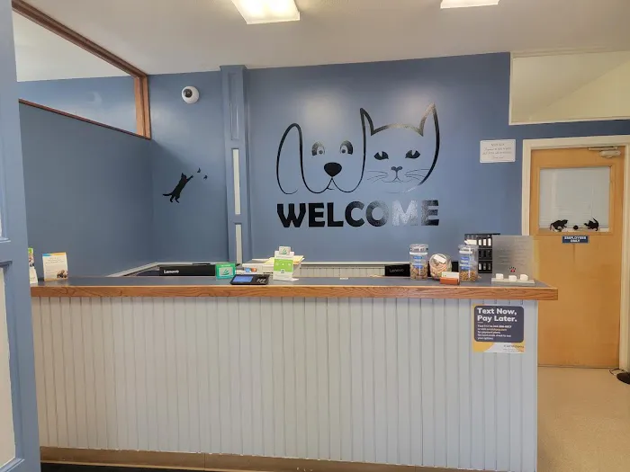 Have A Heart Animal Hospital, A Thrive Pet Healthcare Partner Picture 6