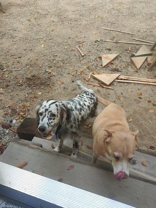 Animal Hospital of Barrington Picture 6