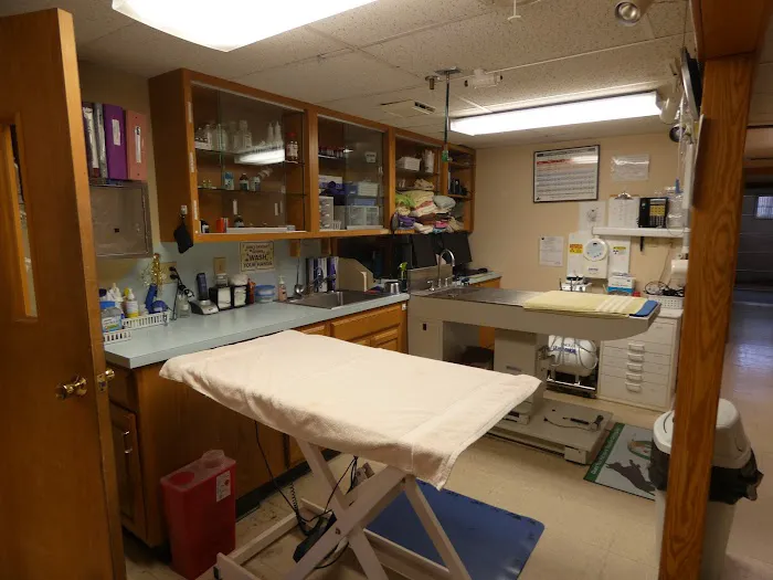 Oyster River Veterinary Hospital Picture 5