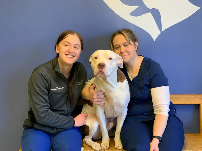 Oyster River Veterinary Hospital Picture 8