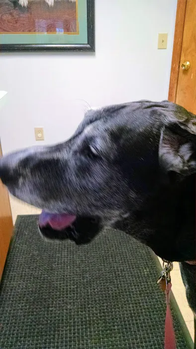Oyster River Veterinary Hospital Picture 2