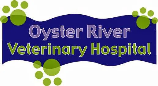 Oyster River Veterinary Hospital Picture 4