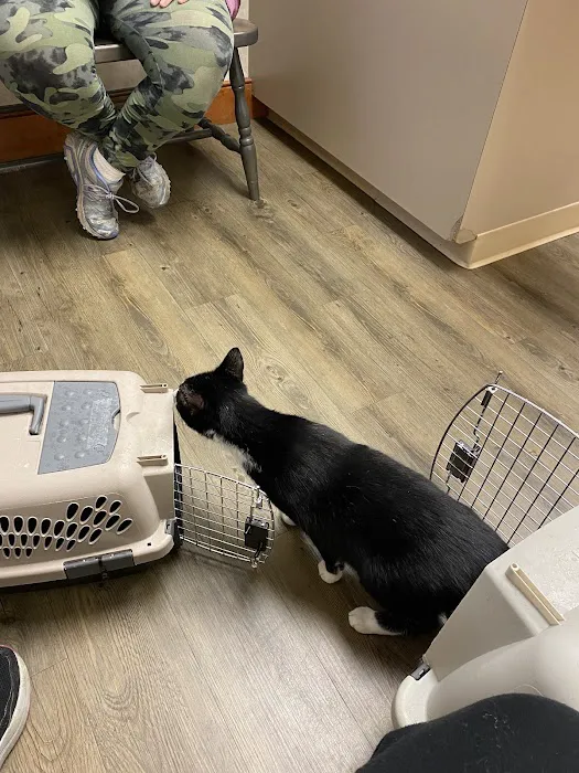 Broadview Animal Hospital of Rochester Picture 1