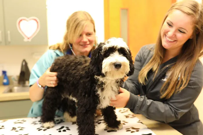 Broadview Animal Hospital of Rochester Picture 2