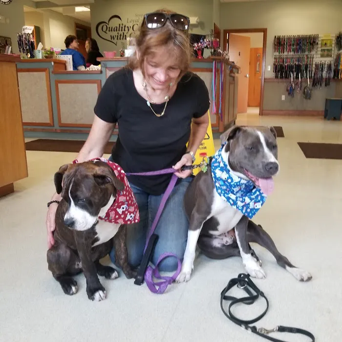 Broadview Animal Hospital of Rochester Picture 4