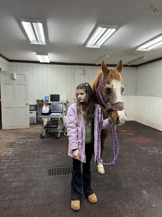 Myhre Equine Clinic Picture 2
