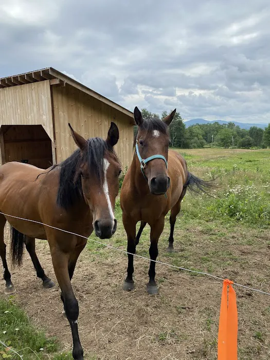 Myhre Equine Clinic Picture 4