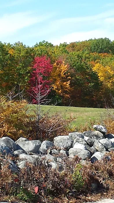 Acton Veterinary Clinic Picture 6