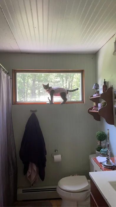 Rozzie May Animal Alliance Inc Picture 7