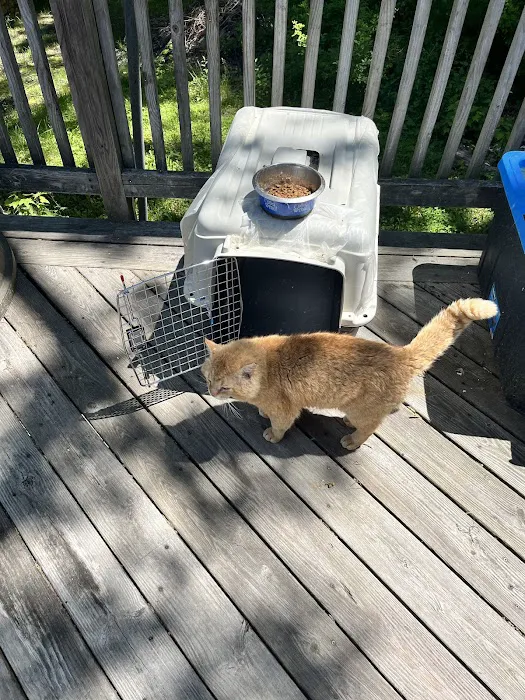 Rozzie May Animal Alliance Inc Picture 6