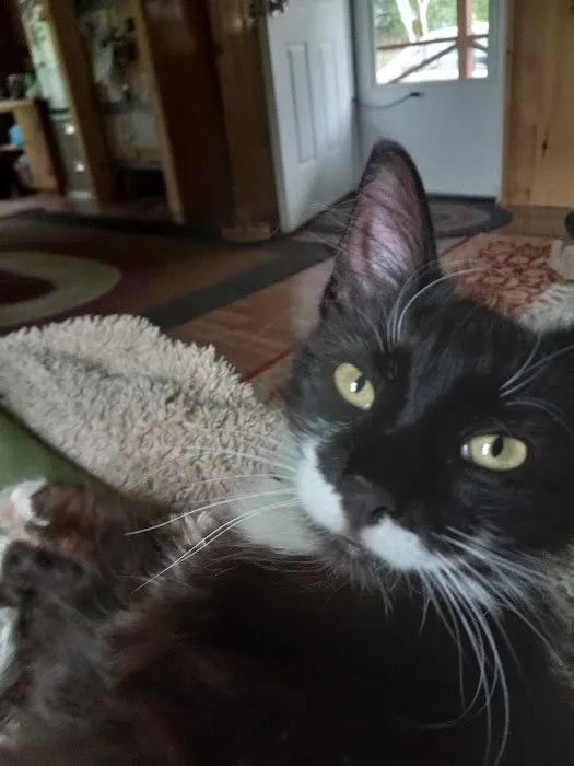 Rozzie May Animal Alliance Inc Picture 8